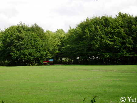 DSCN9326