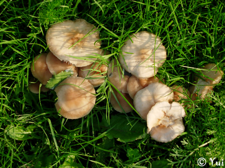 DSCN9740
