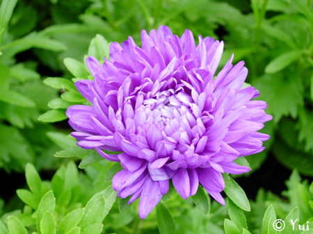 DSCN9075