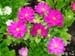 DSCN9086