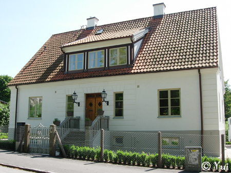 DSCN8501