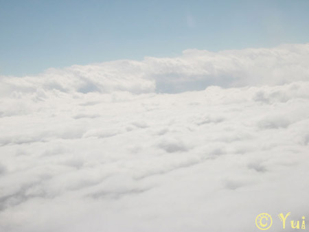 DSCN0209