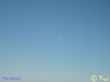 DSCN0252