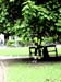 DSCN0366