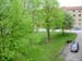 DSCN9600