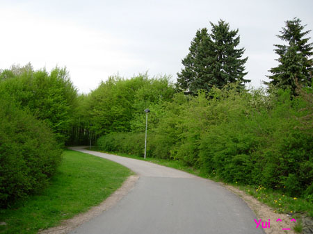 DSCN9300