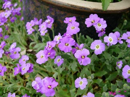 DSCN9314