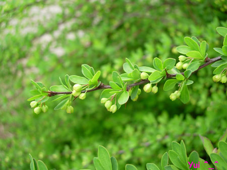 DSCN9344