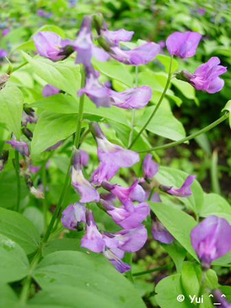DSCN0609