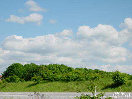 DSCN1414
