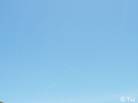DSCN6682