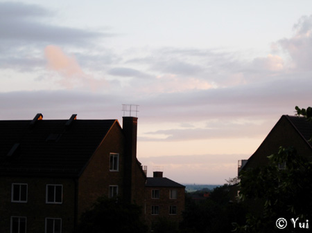 DSCN7358