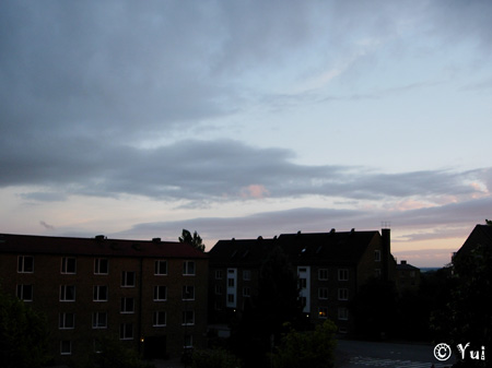 DSCN7365