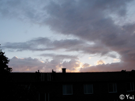 DSCN7372