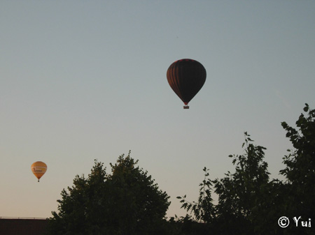 DSCN8247