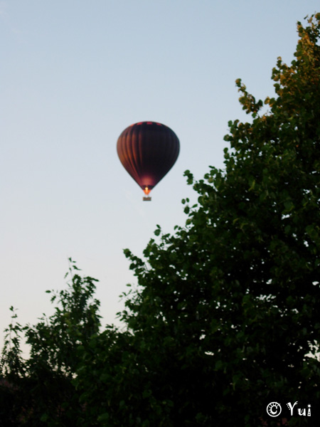 DSCN8248