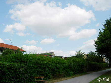 DSCN8665