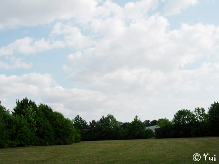 DSCN8678