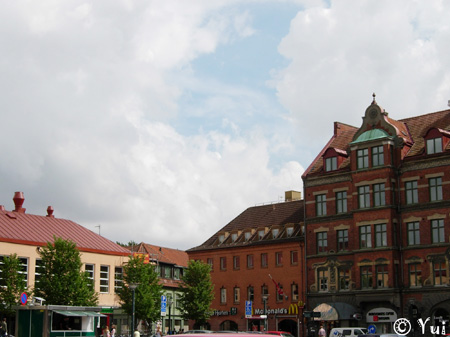 DSCN8841