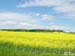 DSCN0973