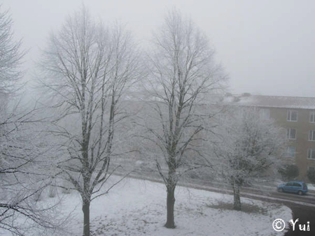 snow01