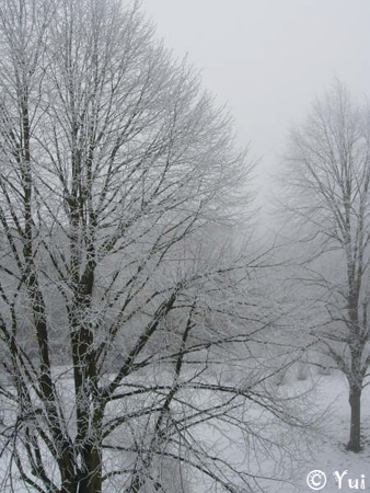 snow02
