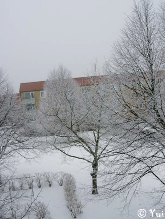 snow03