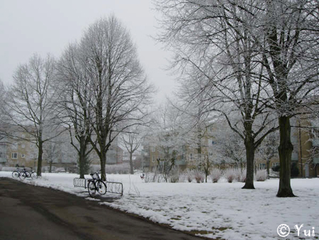 snow05