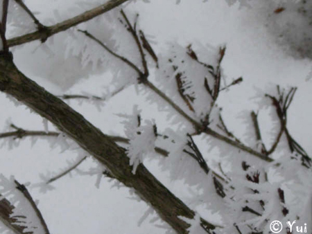 snow09