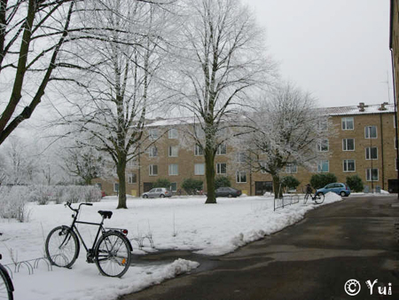 snow14