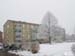 Snow11_1