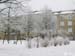 Snow23