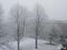 snow01