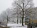 snow08