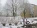 snow10