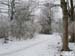 snow19