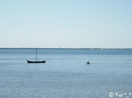 DSCN6279