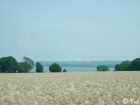 DSCN7730