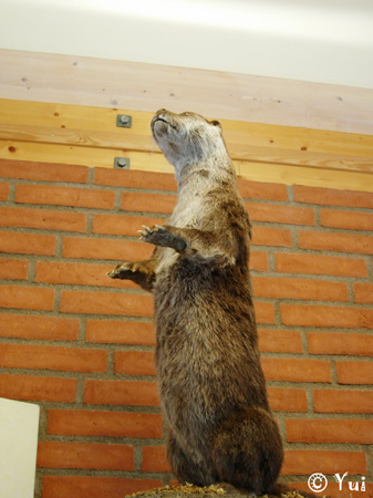 DSCN7739