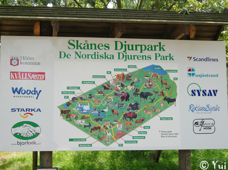 DSCN7787