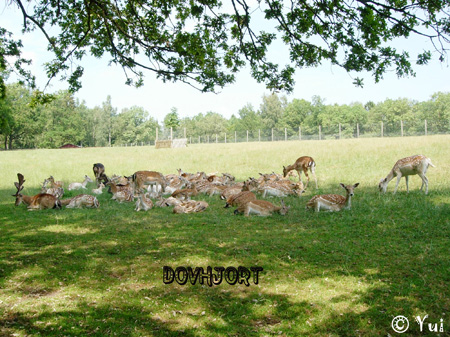 DSCN7799