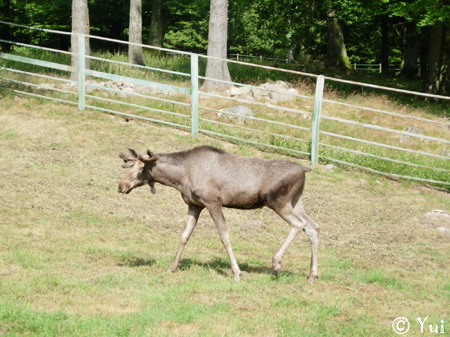 DSCN7826