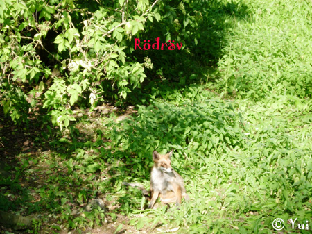 DSCN8004