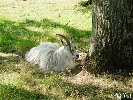 DSCN8032