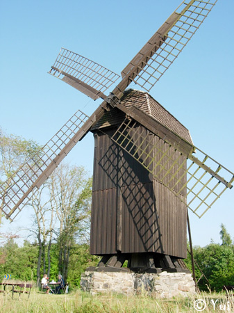 DSCN8092