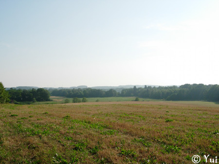 DSCN8096