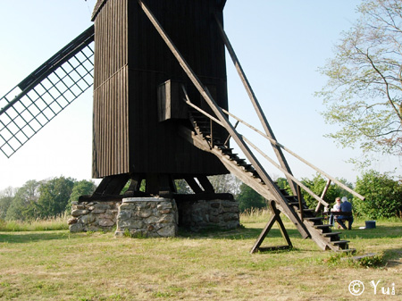 DSCN8100