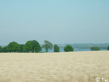 DSCN8107