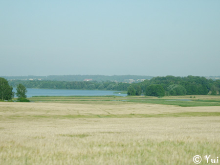 DSCN8112