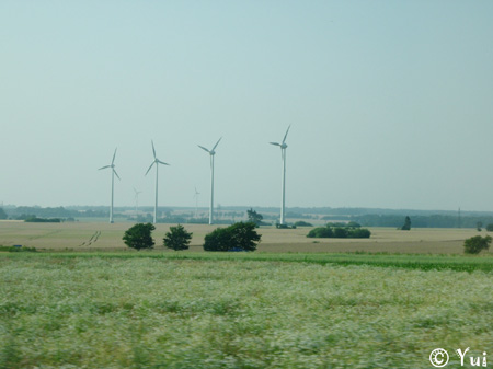 DSCN8128